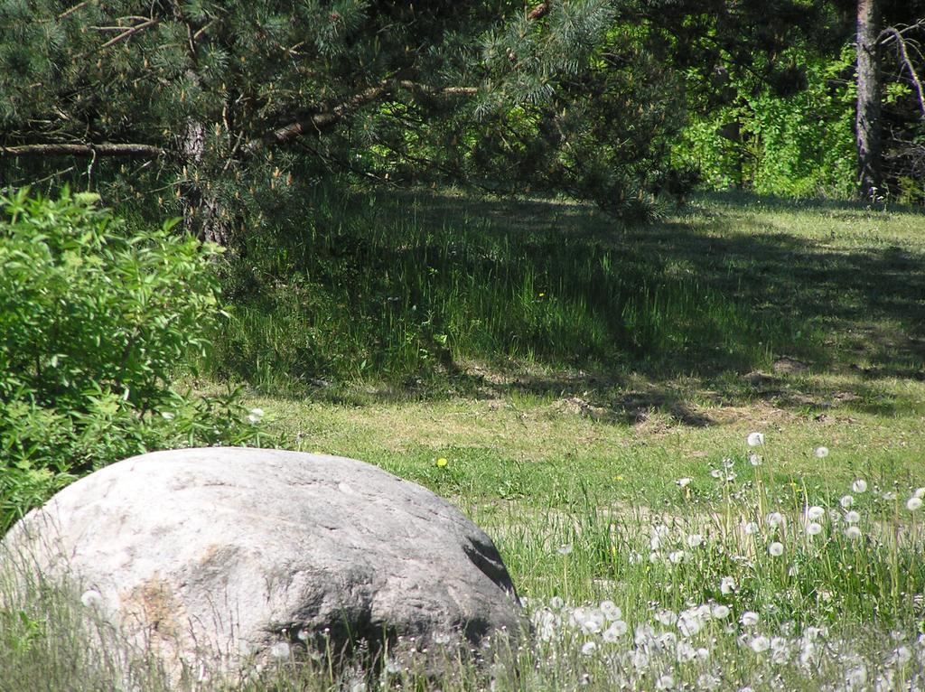 Appartamento Wymoj Park Stawiguda Esterno foto
