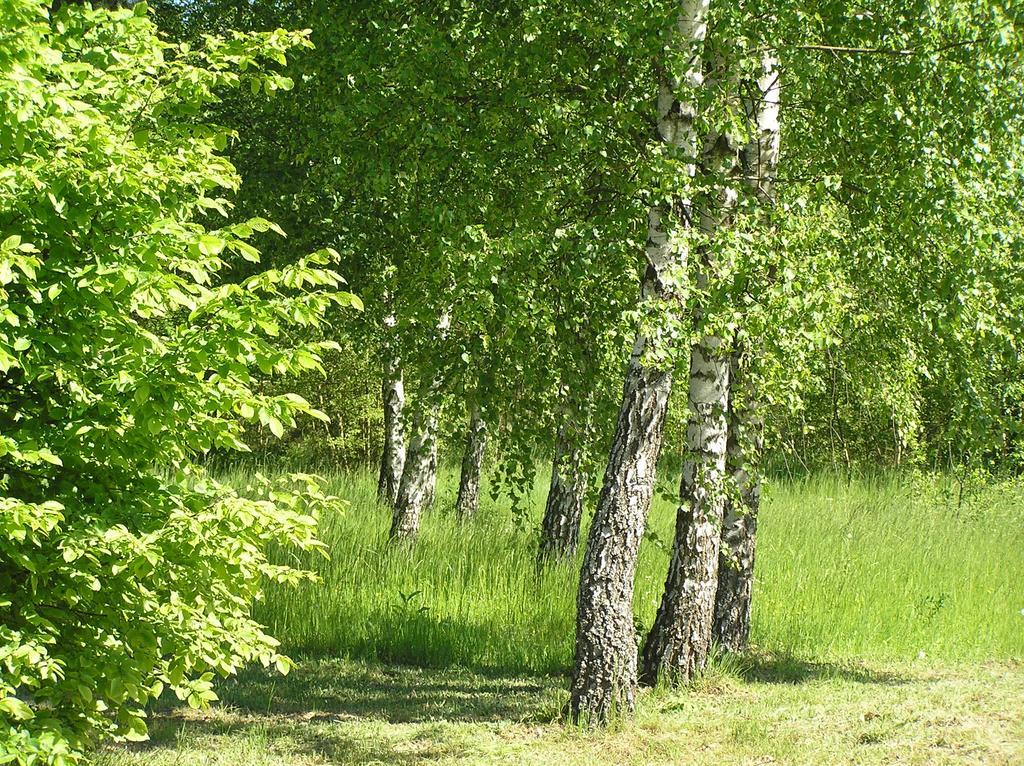 Appartamento Wymoj Park Stawiguda Esterno foto