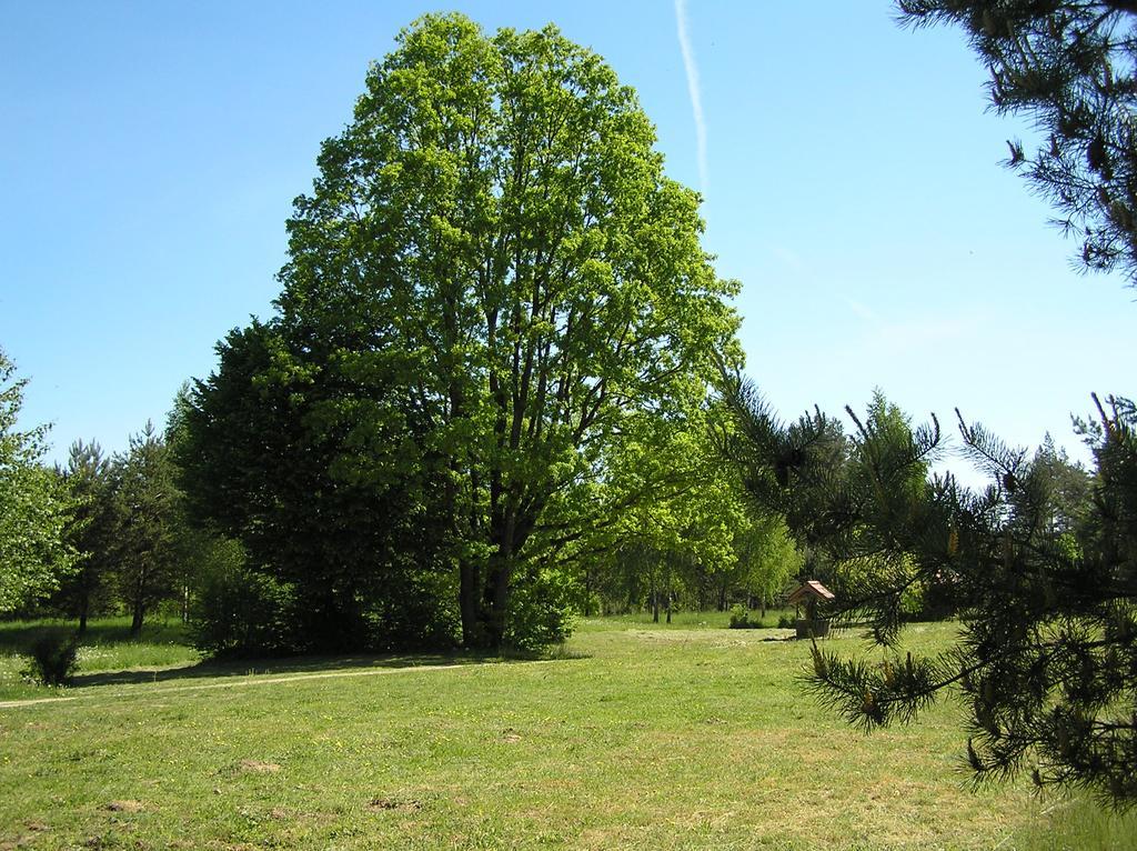 Appartamento Wymoj Park Stawiguda Esterno foto